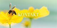 Kontakt