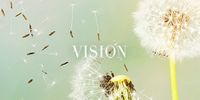 Vision